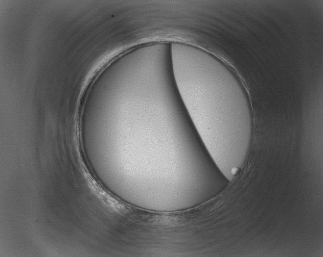 X0000085811088200703161022
