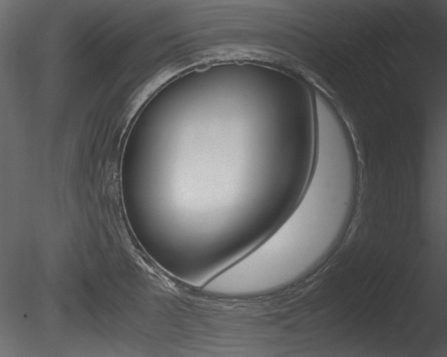 X0000085811089200703161022