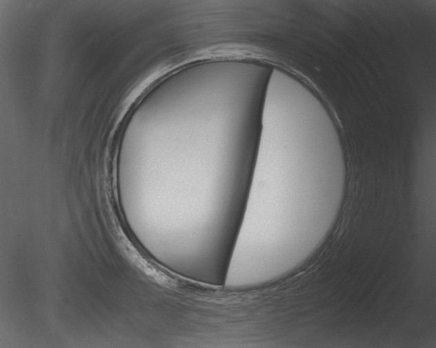 X0000085811091200703161022