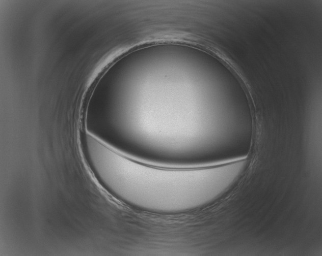 X0000085811093200703161022