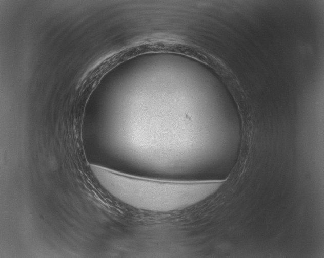 X0000085811112200703161021