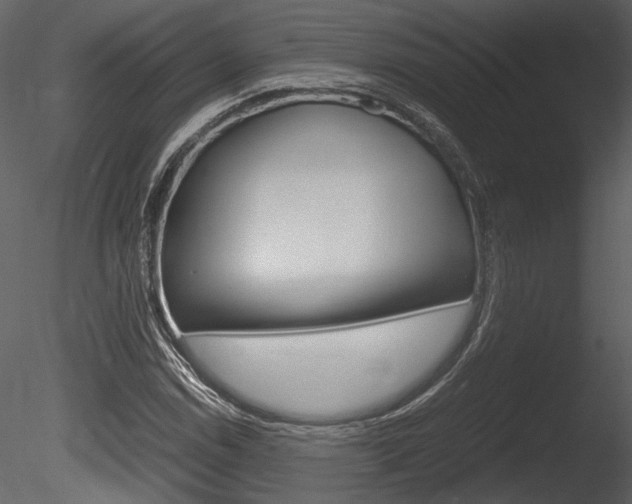 X0000085811114200703161021