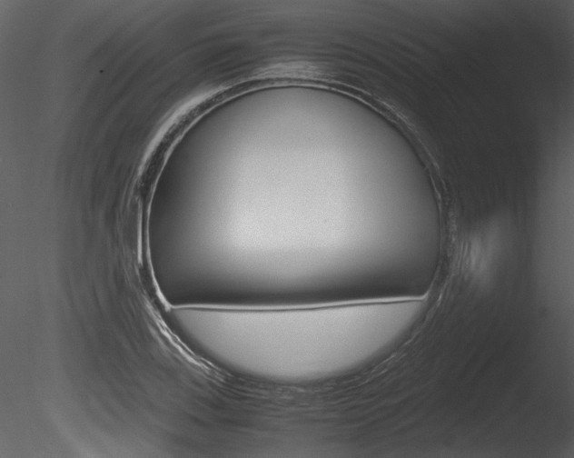 X0000085811123200703161021