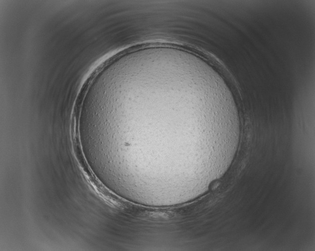 X0000085811125200703161021