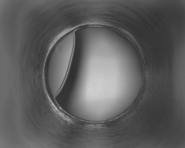X0000085811133200703161022