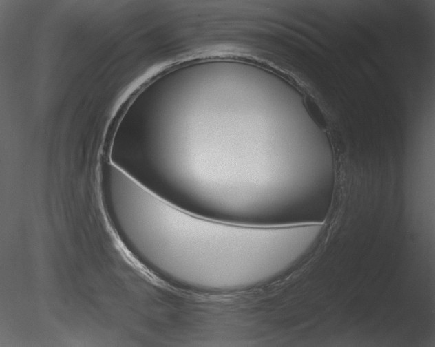 X0000085811134200703161022