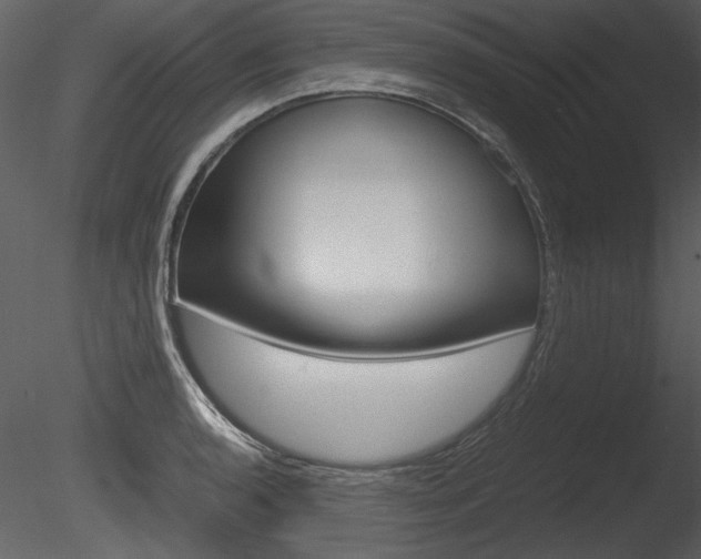 X0000085811136200703161022