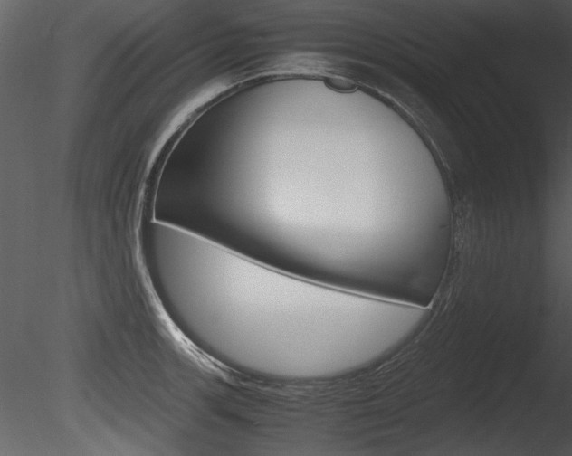 X0000085811139200703161022