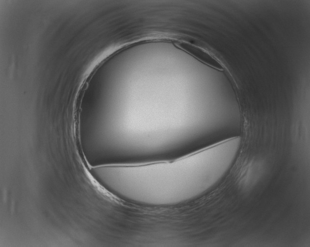 X0000085811143200703161022
