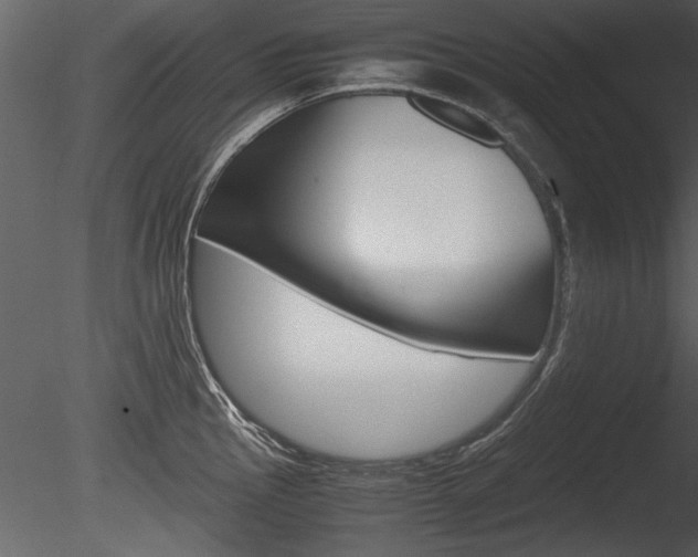 X0000085811145200703161022