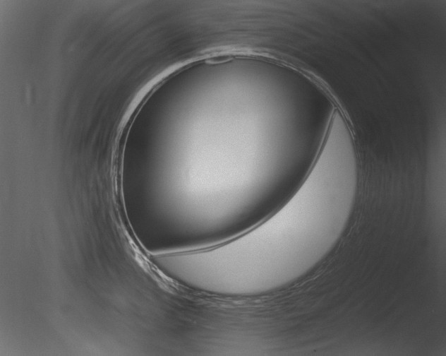 X0000085811148200703161022