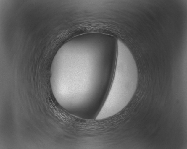 X0000085811153200703161021