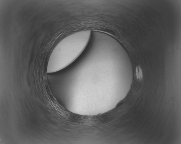 X0000085811155200703161021