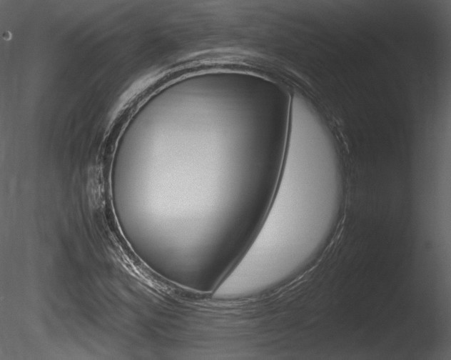 X0000085811164200703161021