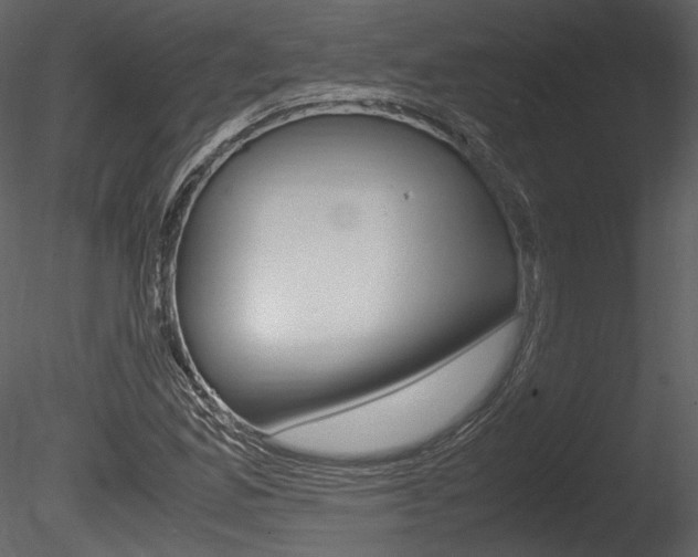 X0000085811165200703161021