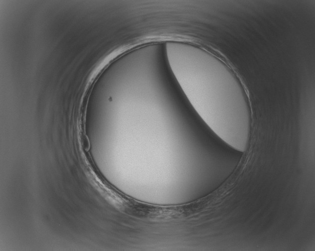X0000085811187200703161020