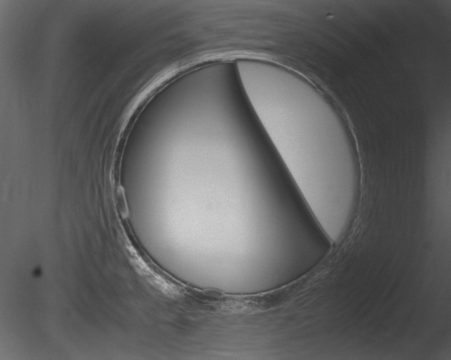 X0000085811189200703161020