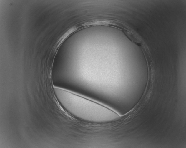 X0000085811193200703161020