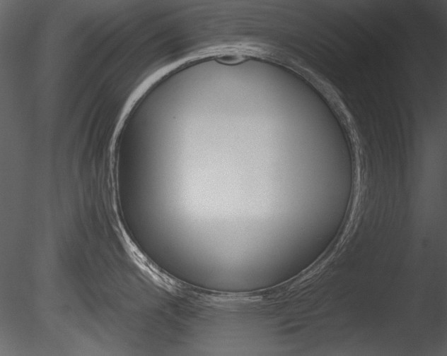 X0000085811200200703161020