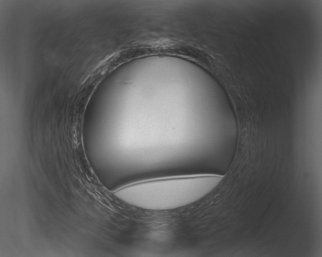 X0000085811205200703161019