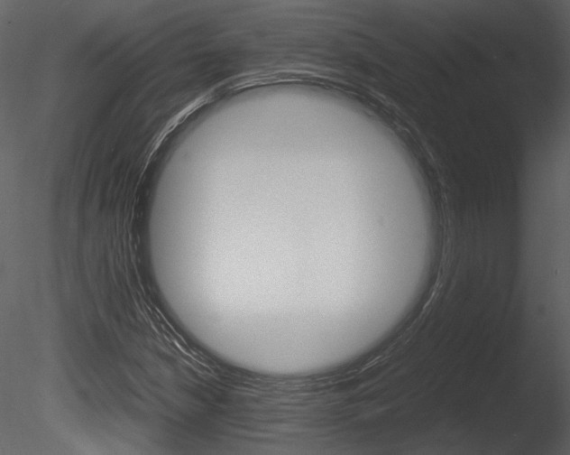 X0000085811210200703161019