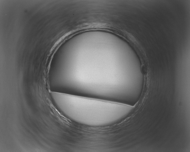 X0000085811212200703161019