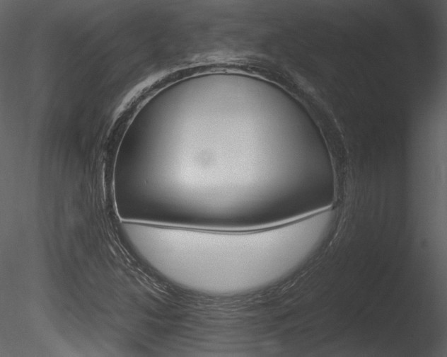 X0000085811214200703161020