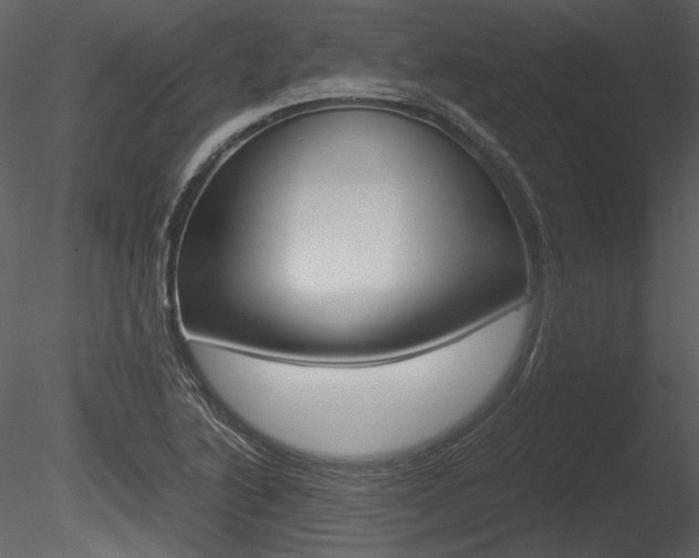X0000085811222200703161020