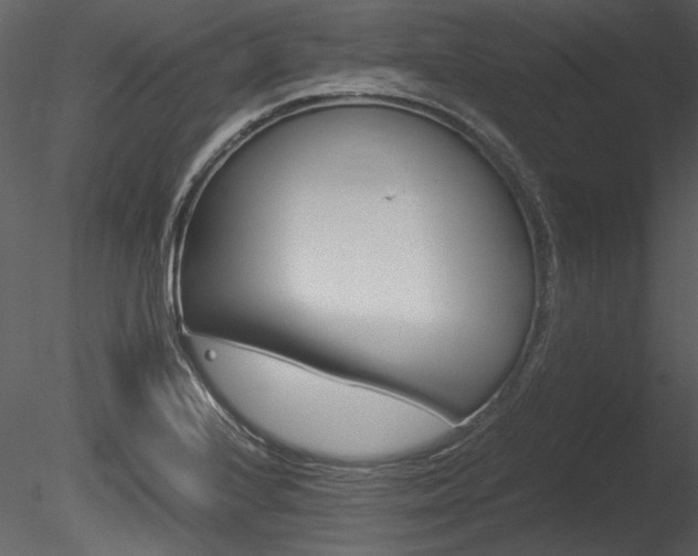 X0000085811224200703161020