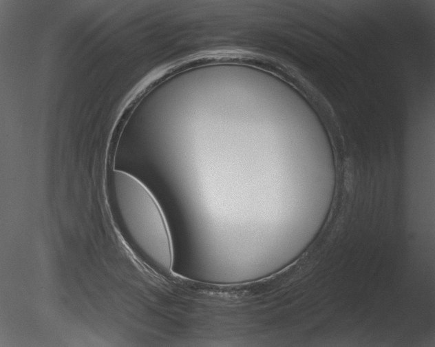X0000085811229200703161020
