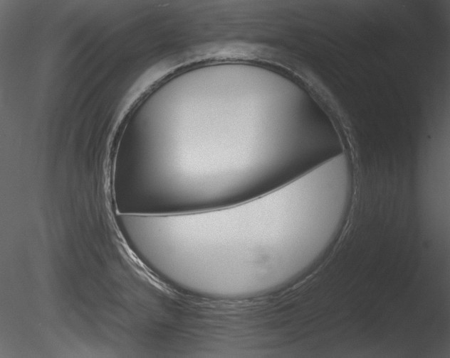 X0000085811232200703161020