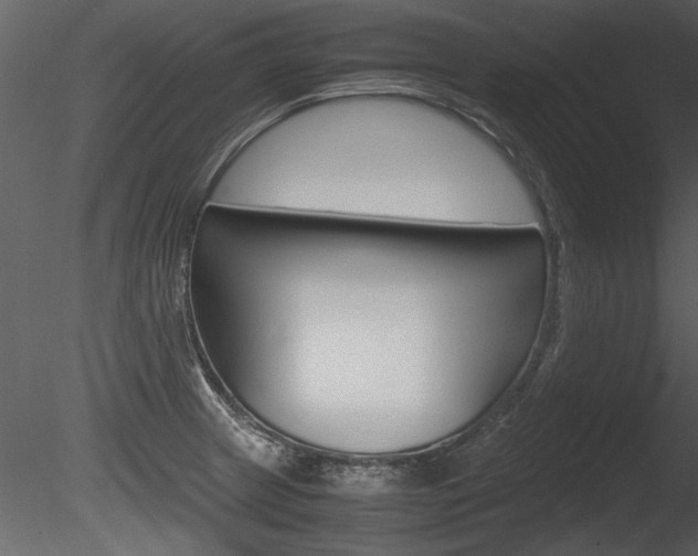 X0000085811233200703161020