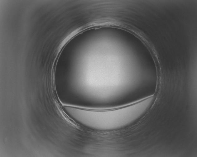 X0000085811242200703161020