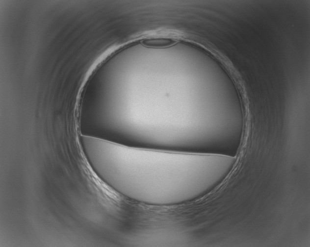 X0000085811248200703161020
