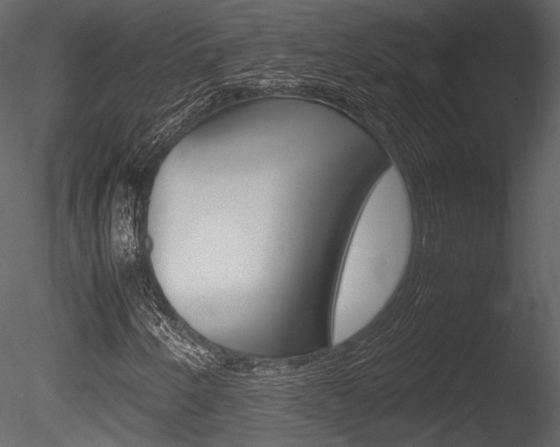 X0000085811250200703161019