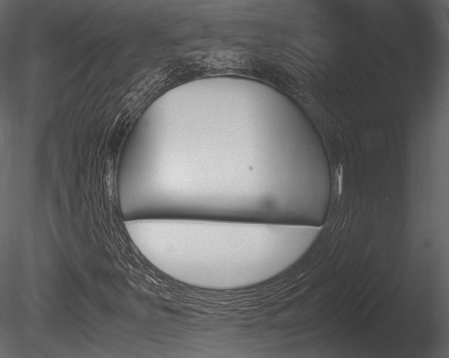 X0000085811251200703161019
