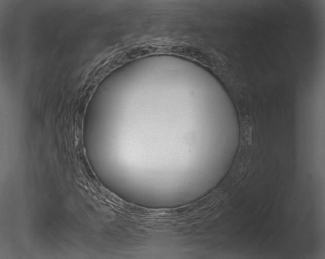 X0000085811253200703161019