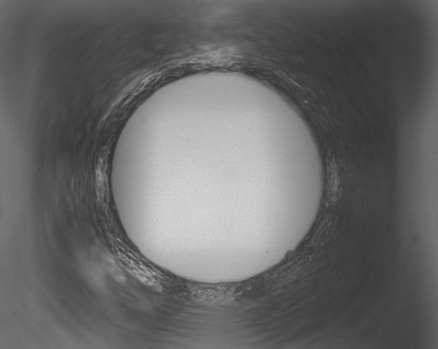 X0000085811254200703161019