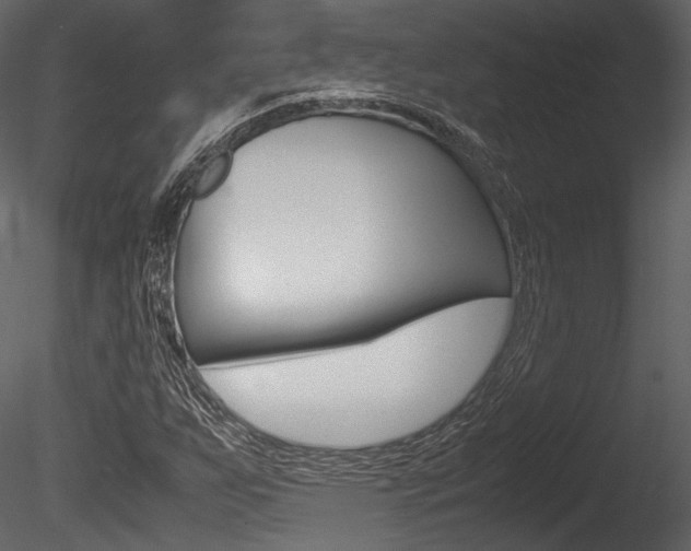 X0000085811255200703161019