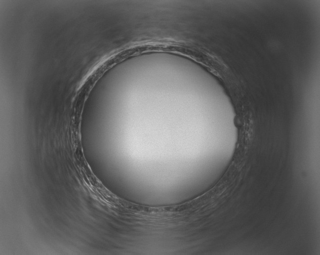 X0000085811256200703161019