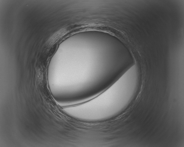 X0000085811257200703161019