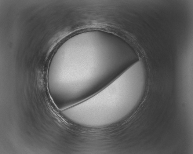 X0000085811260200703161019