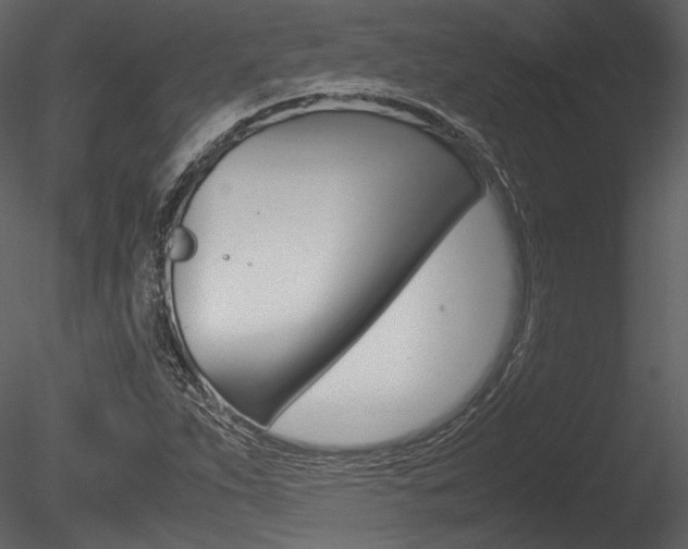 X0000085811263200703161019