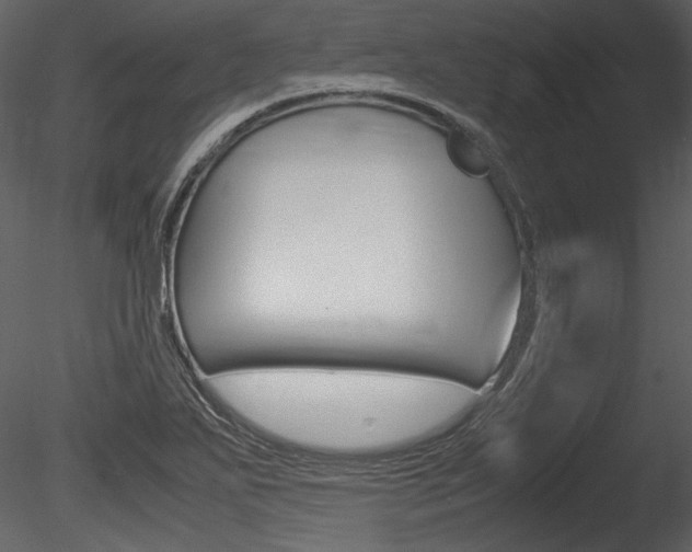 X0000085811271200703161019