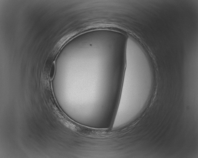 X0000085811273200703161019