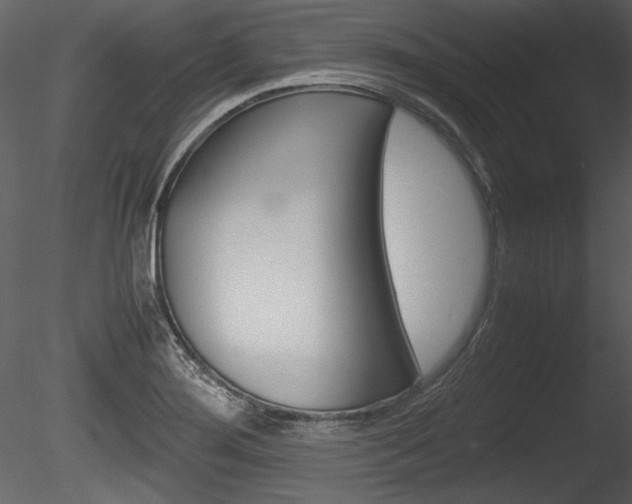 X0000085811276200703161019