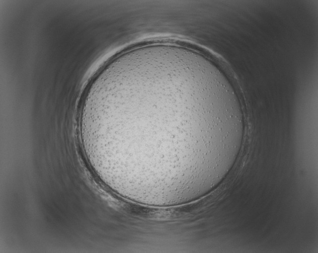X0000085811279200703161019