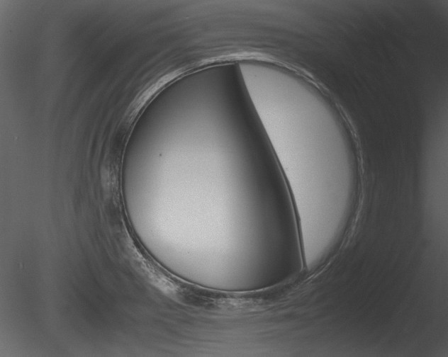 X0000085811281200703161019