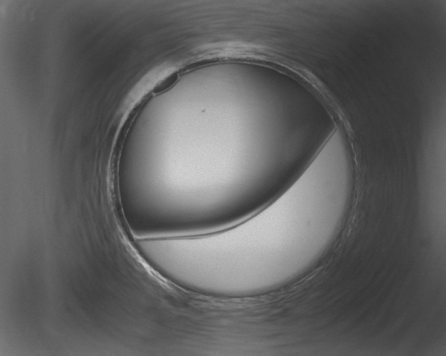 X0000085811285200703161019