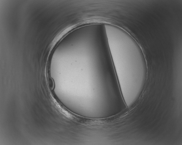 X0000085811293200703161019